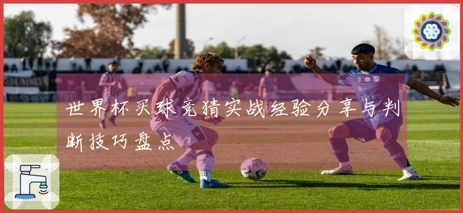 世界杯买球竞猜实战经验分享与判断技巧盘点